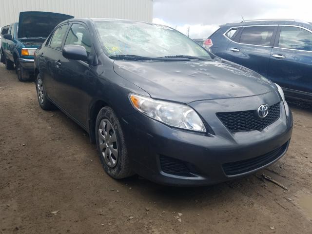 TOYOTA COROLLA BA 2010 2t1bu4ee4ac335021