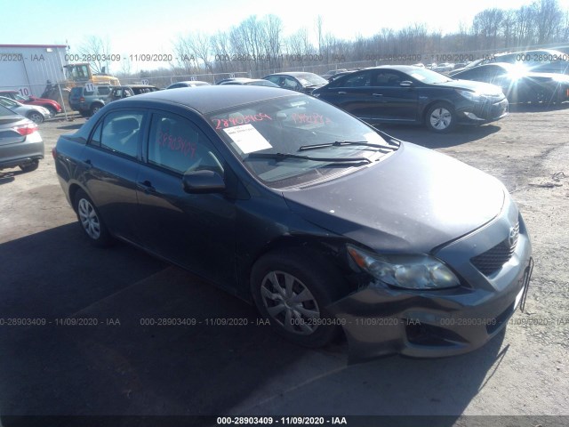 TOYOTA COROLLA 2010 2t1bu4ee4ac336878