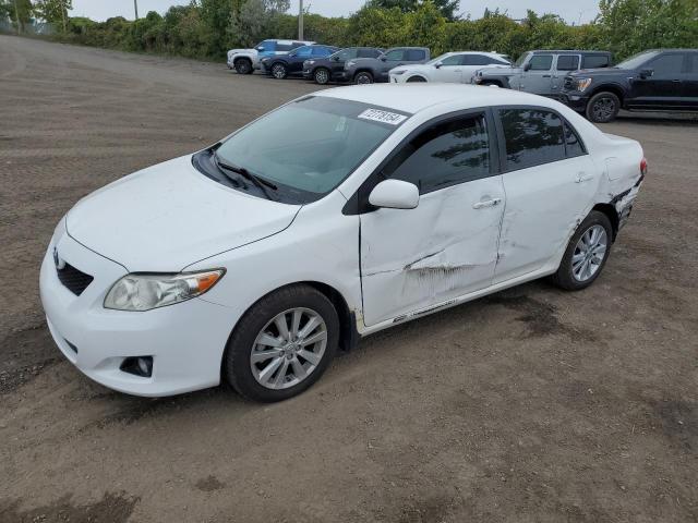 TOYOTA COROLLA BA 2010 2t1bu4ee4ac344950