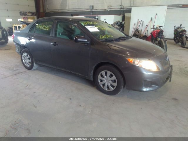 TOYOTA COROLLA 2010 2t1bu4ee4ac355849