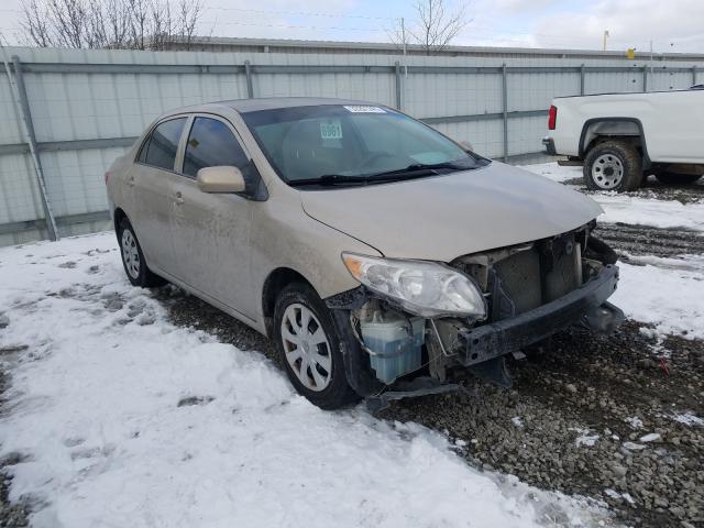 TOYOTA COROLLA BA 2010 2t1bu4ee4ac371713