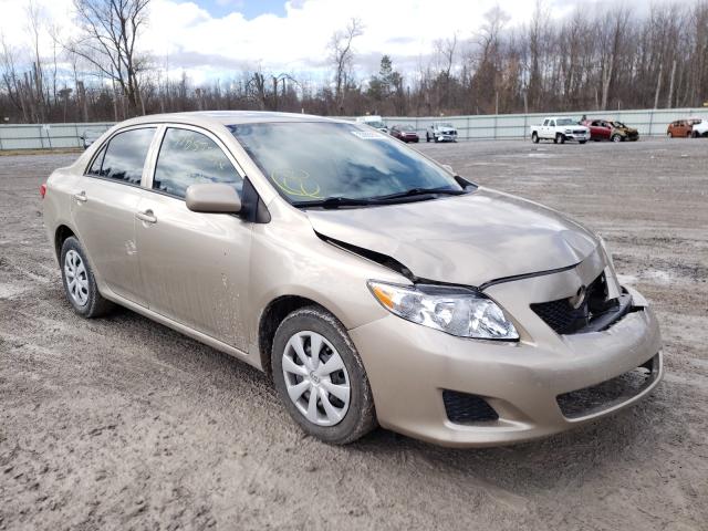 TOYOTA COROLLA BA 2010 2t1bu4ee4ac373395