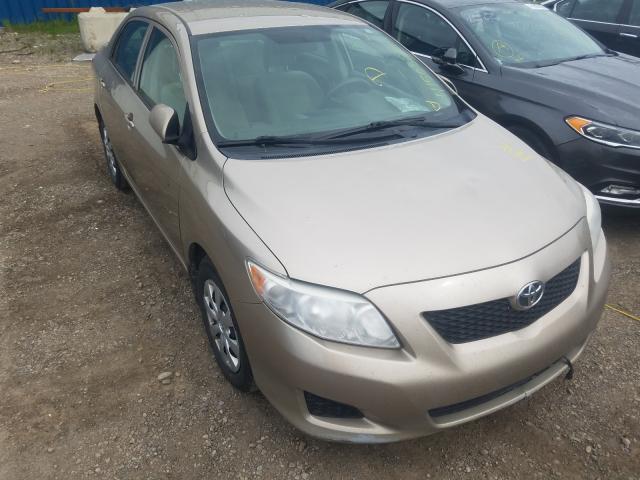 TOYOTA COROLLA BA 2010 2t1bu4ee4ac384767