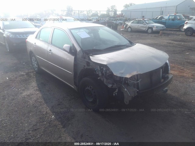 TOYOTA COROLLA 2010 2t1bu4ee4ac389824