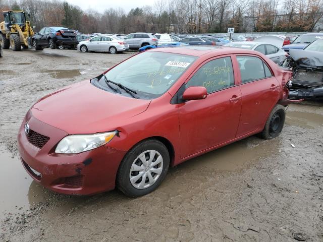 TOYOTA COROLLA BA 2010 2t1bu4ee4ac401681