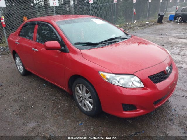 TOYOTA COROLLA 2010 2t1bu4ee4ac404922