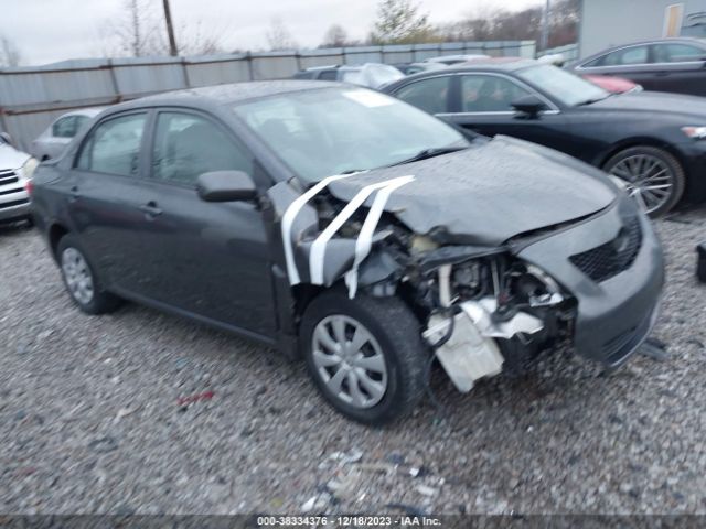 TOYOTA COROLLA 2010 2t1bu4ee4ac420912