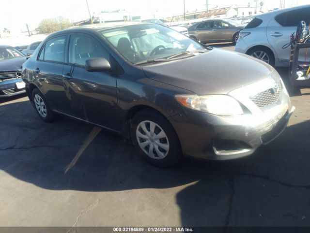 TOYOTA COROLLA 2010 2t1bu4ee4ac426242