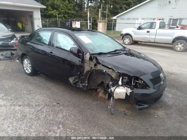 TOYOTA COROLLA 2010 2t1bu4ee4ac429383