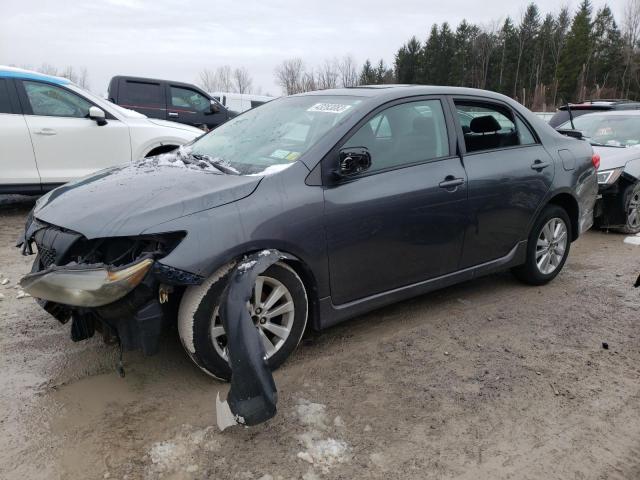 TOYOTA COROLLA BA 2010 2t1bu4ee4ac446586