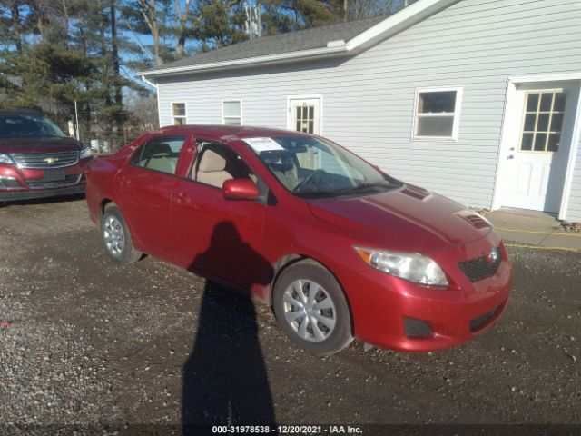 TOYOTA COROLLA 2010 2t1bu4ee4ac464361