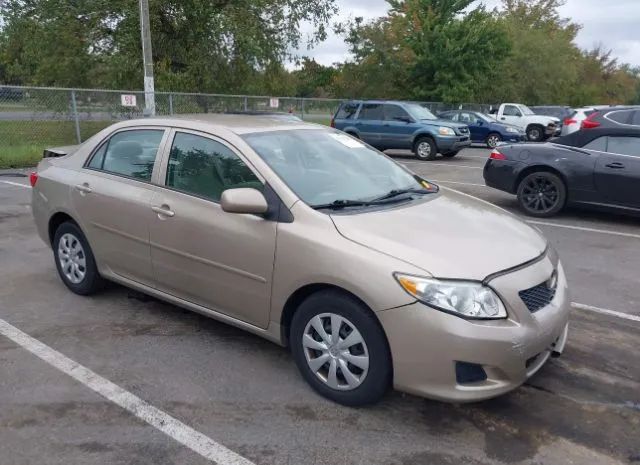 TOYOTA COROLLA 2010 2t1bu4ee4ac465932