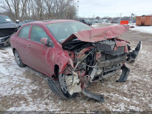 TOYOTA COROLLA 2010 2t1bu4ee4ac471391