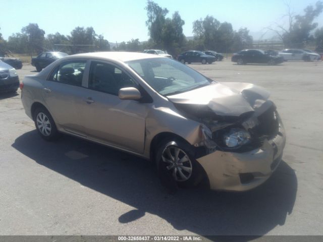 TOYOTA COROLLA 2010 2t1bu4ee4ac473013