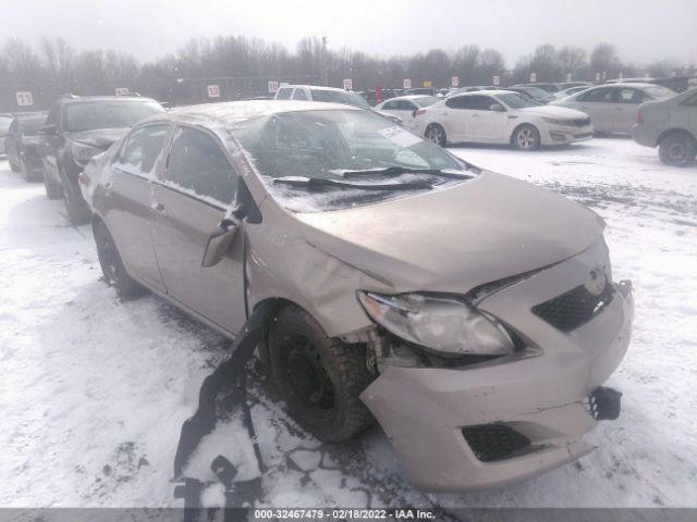 TOYOTA COROLLA 2010 2t1bu4ee4ac479068