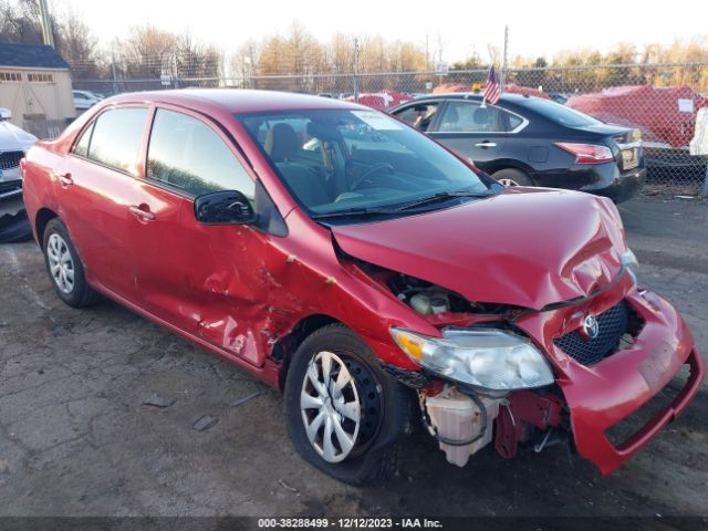 TOYOTA COROLLA 2010 2t1bu4ee4ac483556