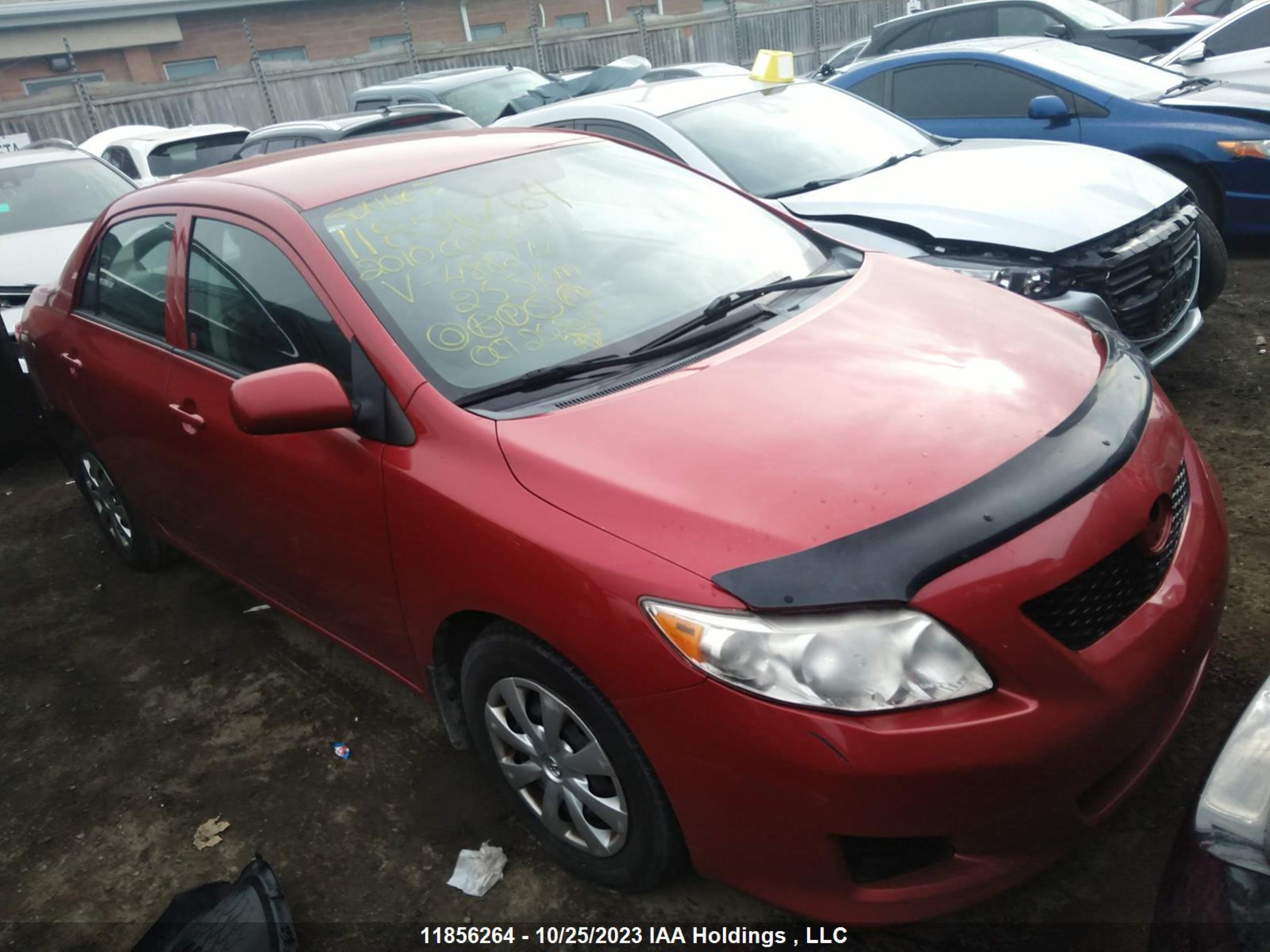 TOYOTA COROLLA 2010 2t1bu4ee4ac488272