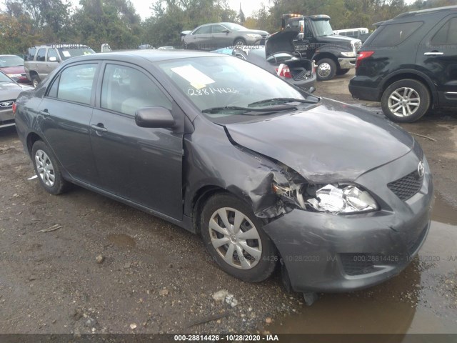 TOYOTA COROLLA 2010 2t1bu4ee4ac501599