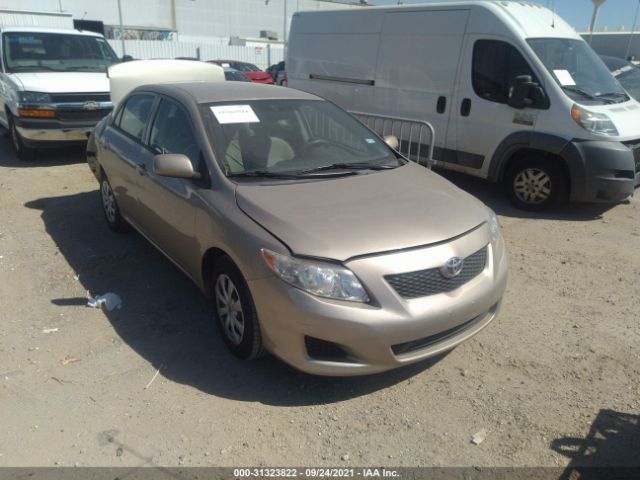 TOYOTA COROLLA 2010 2t1bu4ee4ac503210