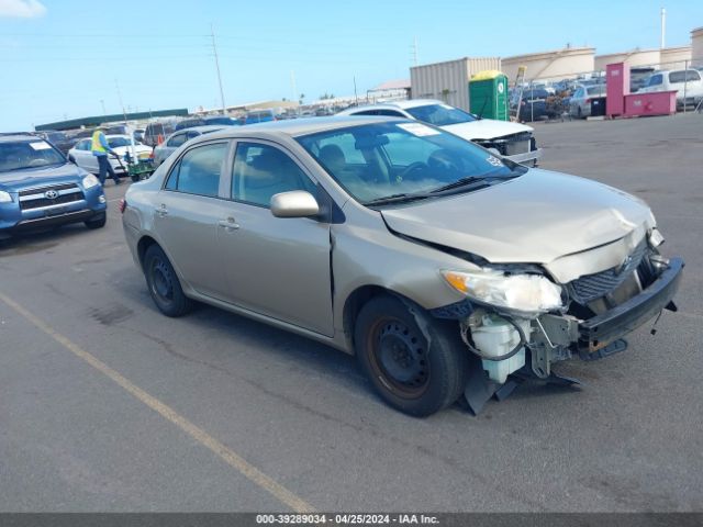 TOYOTA COROLLA 2010 2t1bu4ee4ac528673