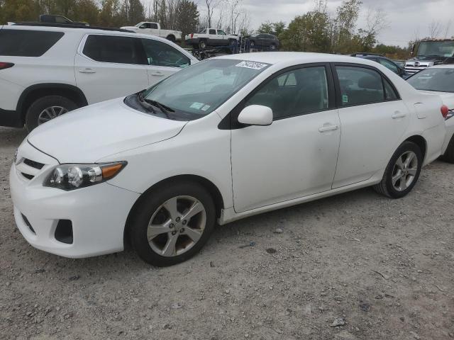 TOYOTA COROLLA BA 2011 2t1bu4ee4bc632789