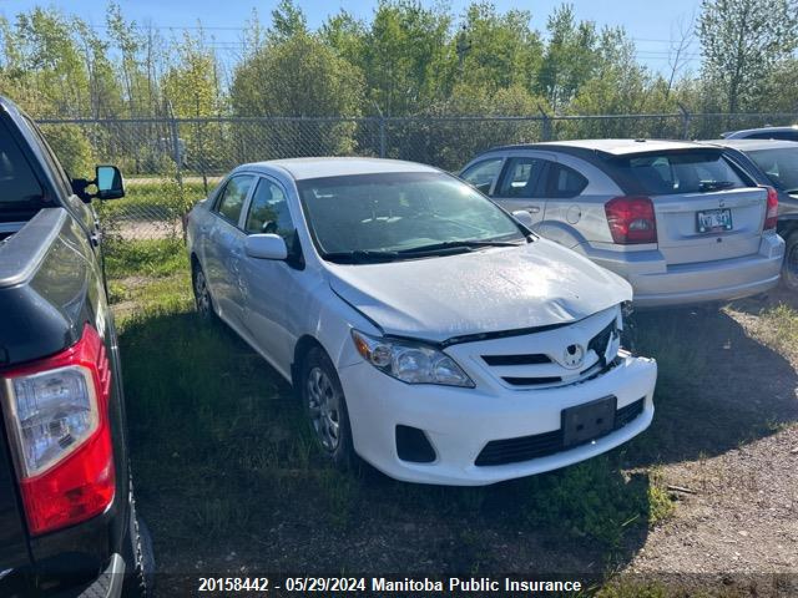 TOYOTA COROLLA 2011 2t1bu4ee4bc714182