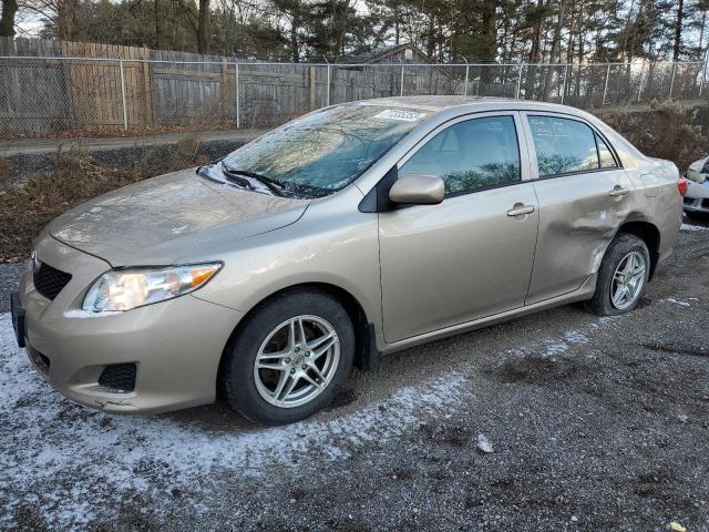 TOYOTA COROLLA 2010 2t1bu4ee5ac207726