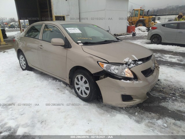 TOYOTA COROLLA 2010 2t1bu4ee5ac230441