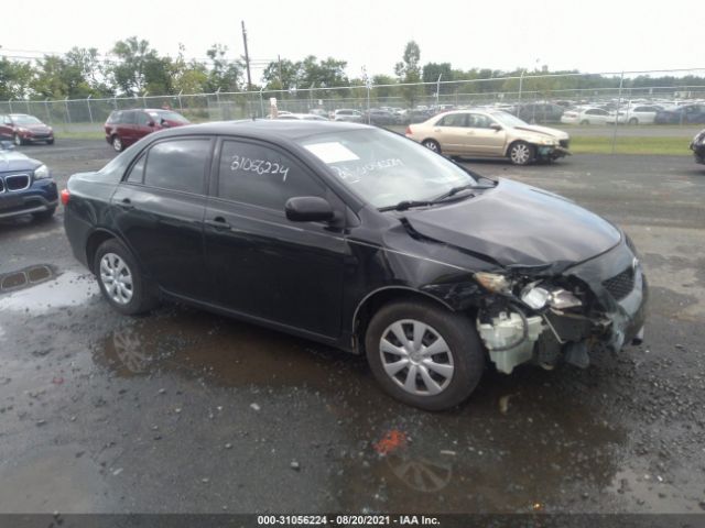 TOYOTA COROLLA 2010 2t1bu4ee5ac231606