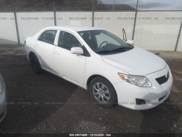 TOYOTA COROLLA 2010 2t1bu4ee5ac236501