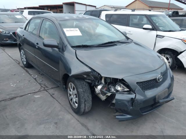 TOYOTA COROLLA 2010 2t1bu4ee5ac237504