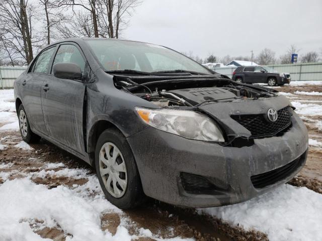 TOYOTA COROLLA BA 2010 2t1bu4ee5ac237759