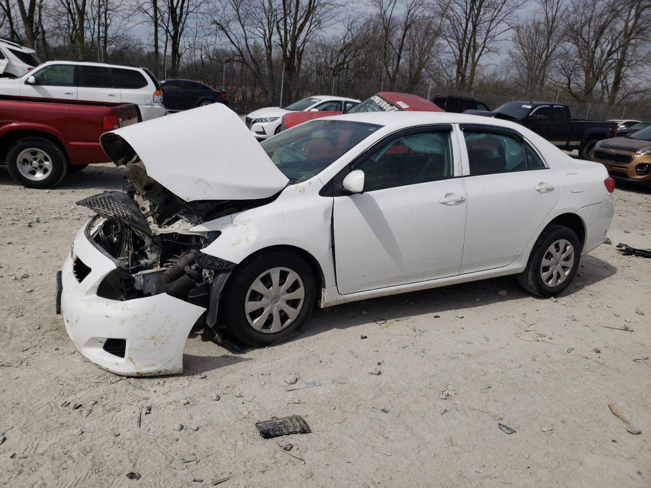 TOYOTA COROLLA 2010 2t1bu4ee5ac244114