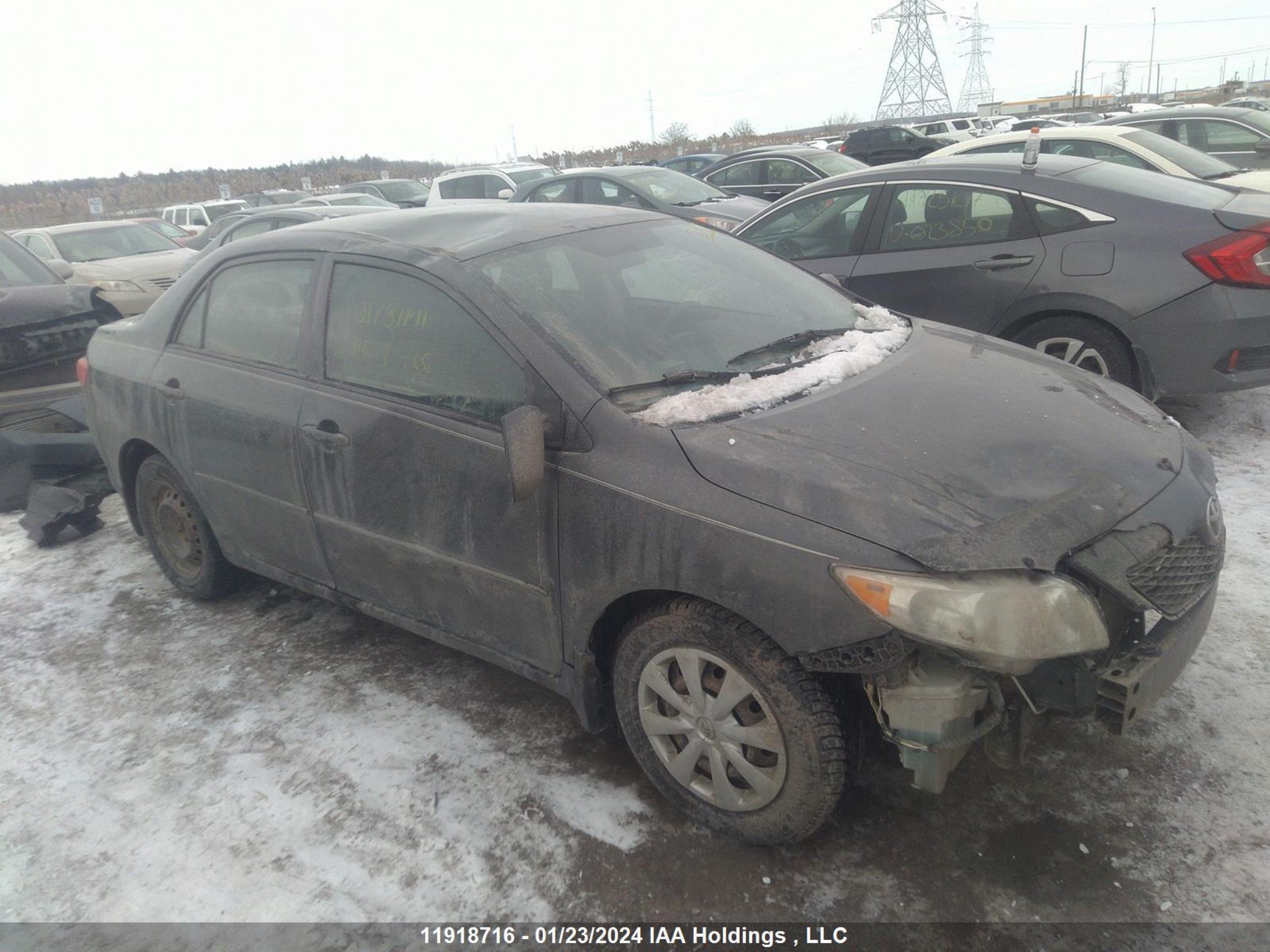 TOYOTA COROLLA 2010 2t1bu4ee5ac245988