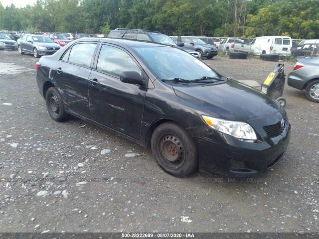 TOYOTA COROLLA 2010 2t1bu4ee5ac260992