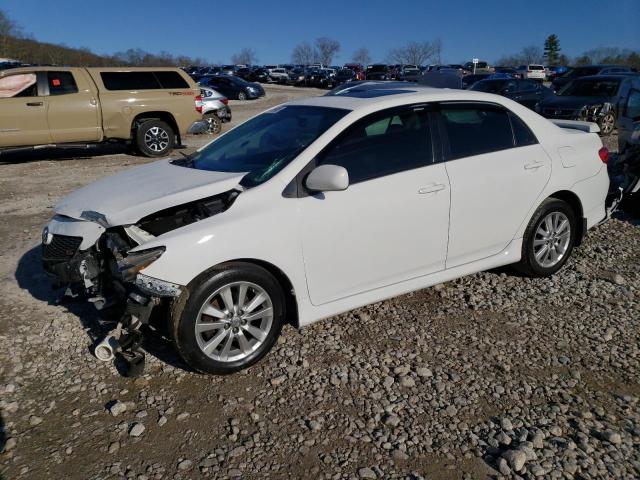 TOYOTA COROLLA BA 2010 2t1bu4ee5ac289246