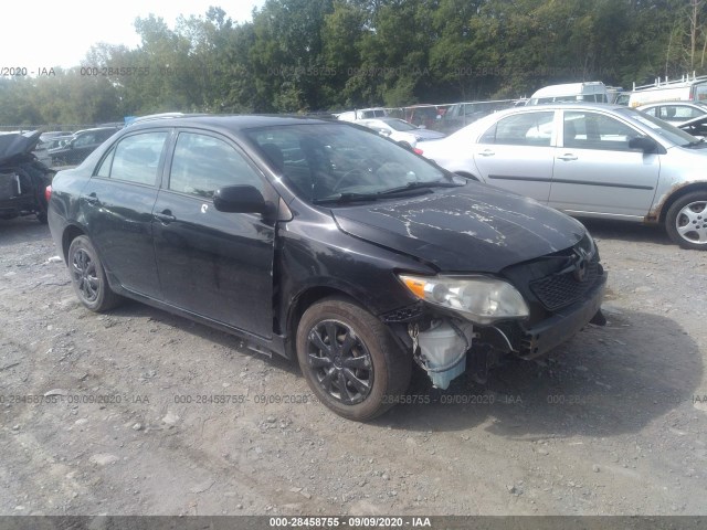 TOYOTA COROLLA 2010 2t1bu4ee5ac323671