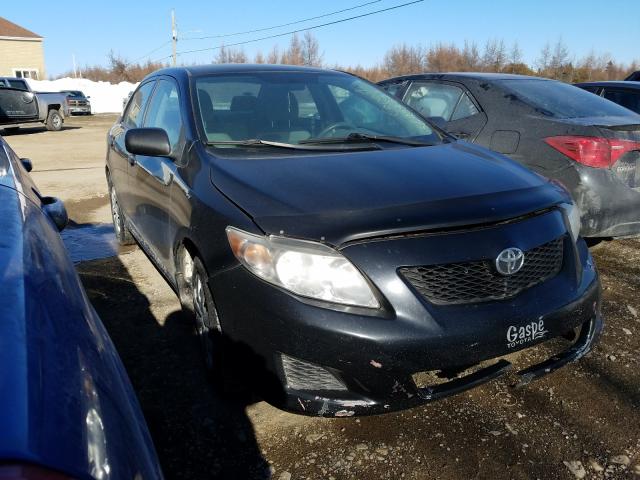 TOYOTA COROLLA BA 2010 2t1bu4ee5ac326280