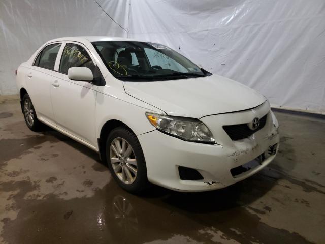 TOYOTA COROLLA BA 2010 2t1bu4ee5ac334265