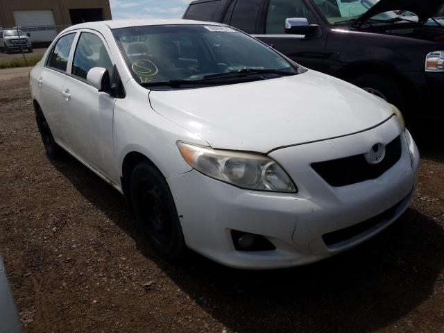 TOYOTA COROLLA BA 2010 2t1bu4ee5ac350837