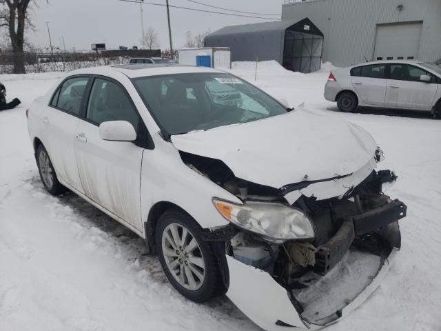 TOYOTA COROLLA BA 2010 2t1bu4ee5ac355276