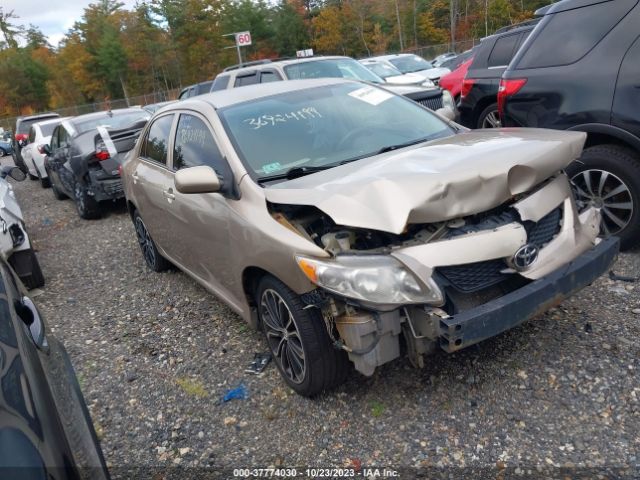 TOYOTA COROLLA 2010 2t1bu4ee5ac361952