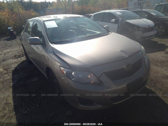 TOYOTA COROLLA 2010 2t1bu4ee5ac364981