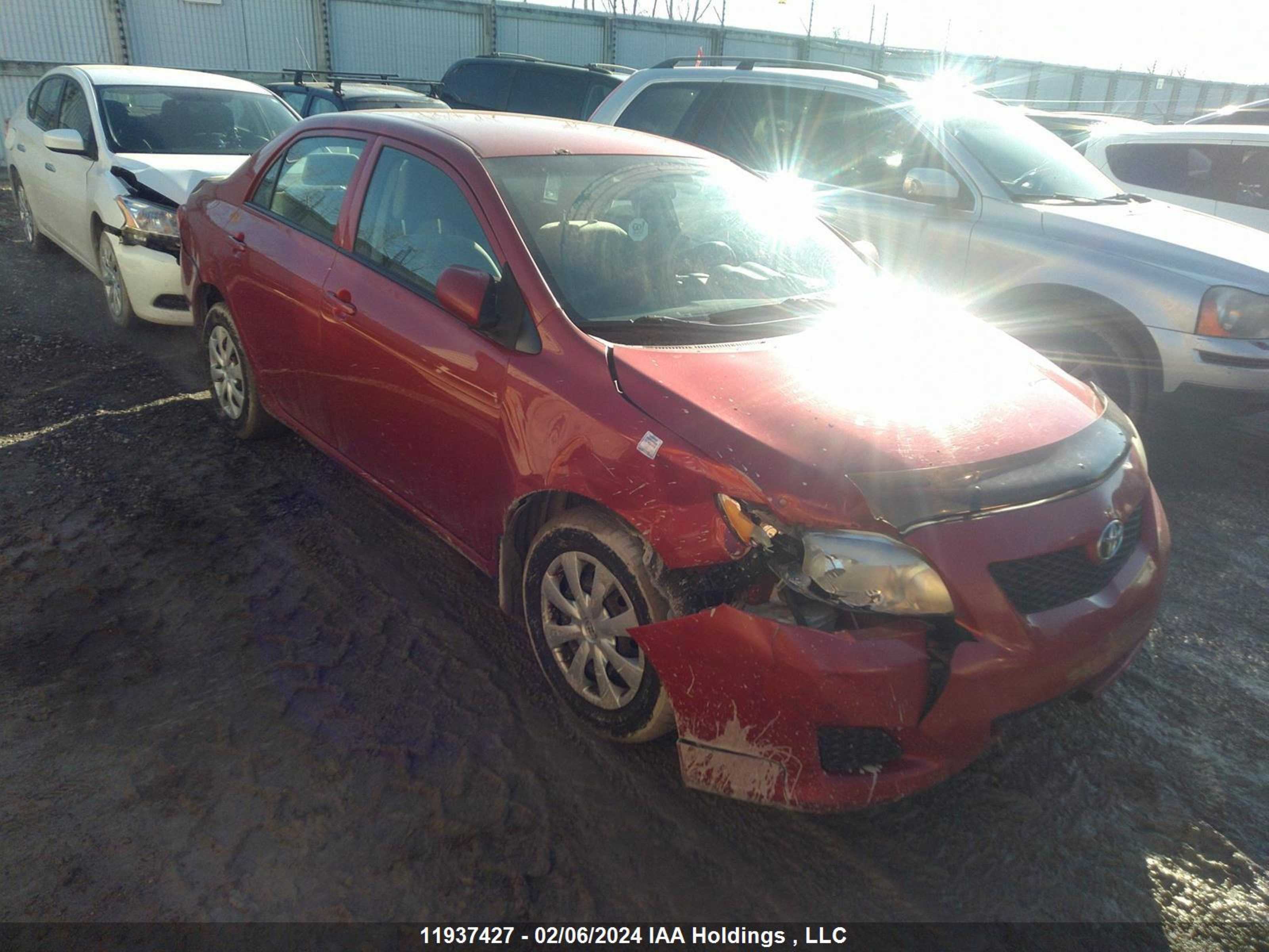 TOYOTA COROLLA 2010 2t1bu4ee5ac376726