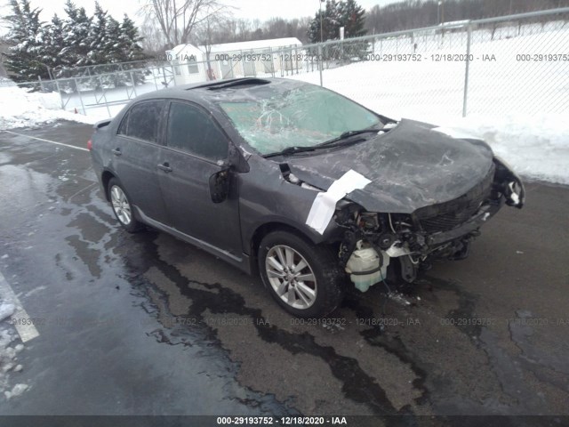 TOYOTA COROLLA 2010 2t1bu4ee5ac392313