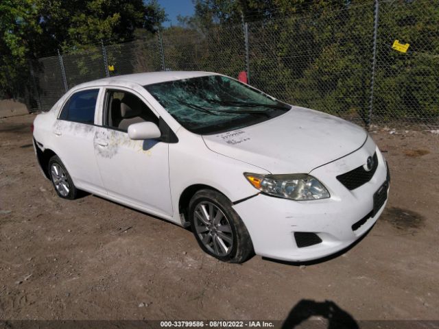 TOYOTA COROLLA 2010 2t1bu4ee5ac400121