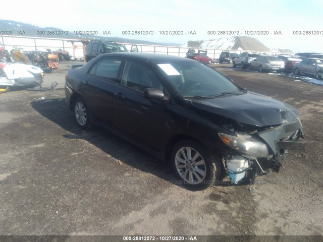 TOYOTA COROLLA 2010 2t1bu4ee5ac404511