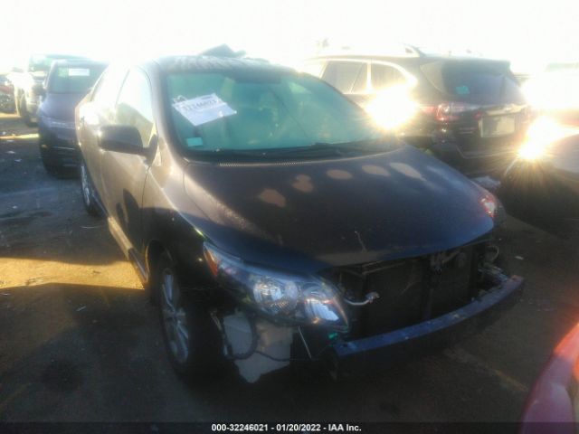 TOYOTA COROLLA 2010 2t1bu4ee5ac423642