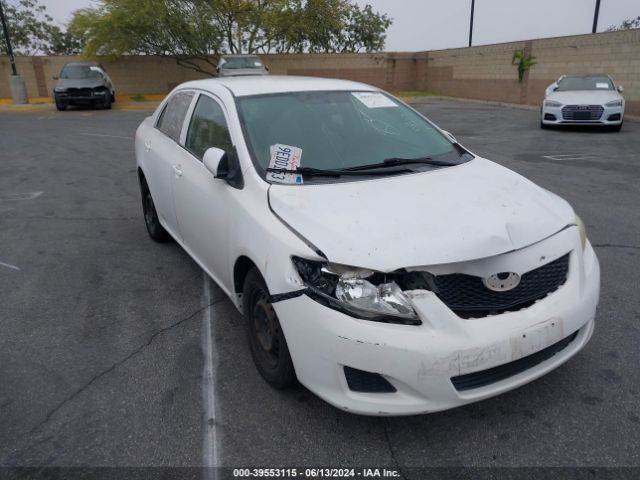 TOYOTA COROLLA 2010 2t1bu4ee5ac424225