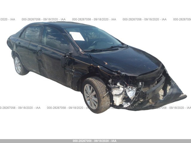 TOYOTA COROLLA 2010 2t1bu4ee5ac444457